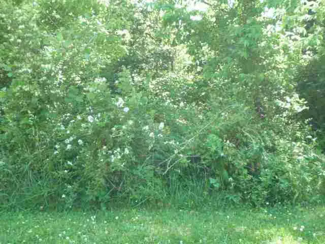 $35,000 | Lot 22 Lakewood, Vincennes, IN 47591