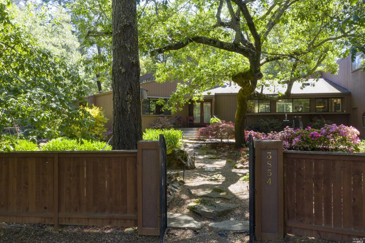 a view of a potted flower in a yard next to a yard