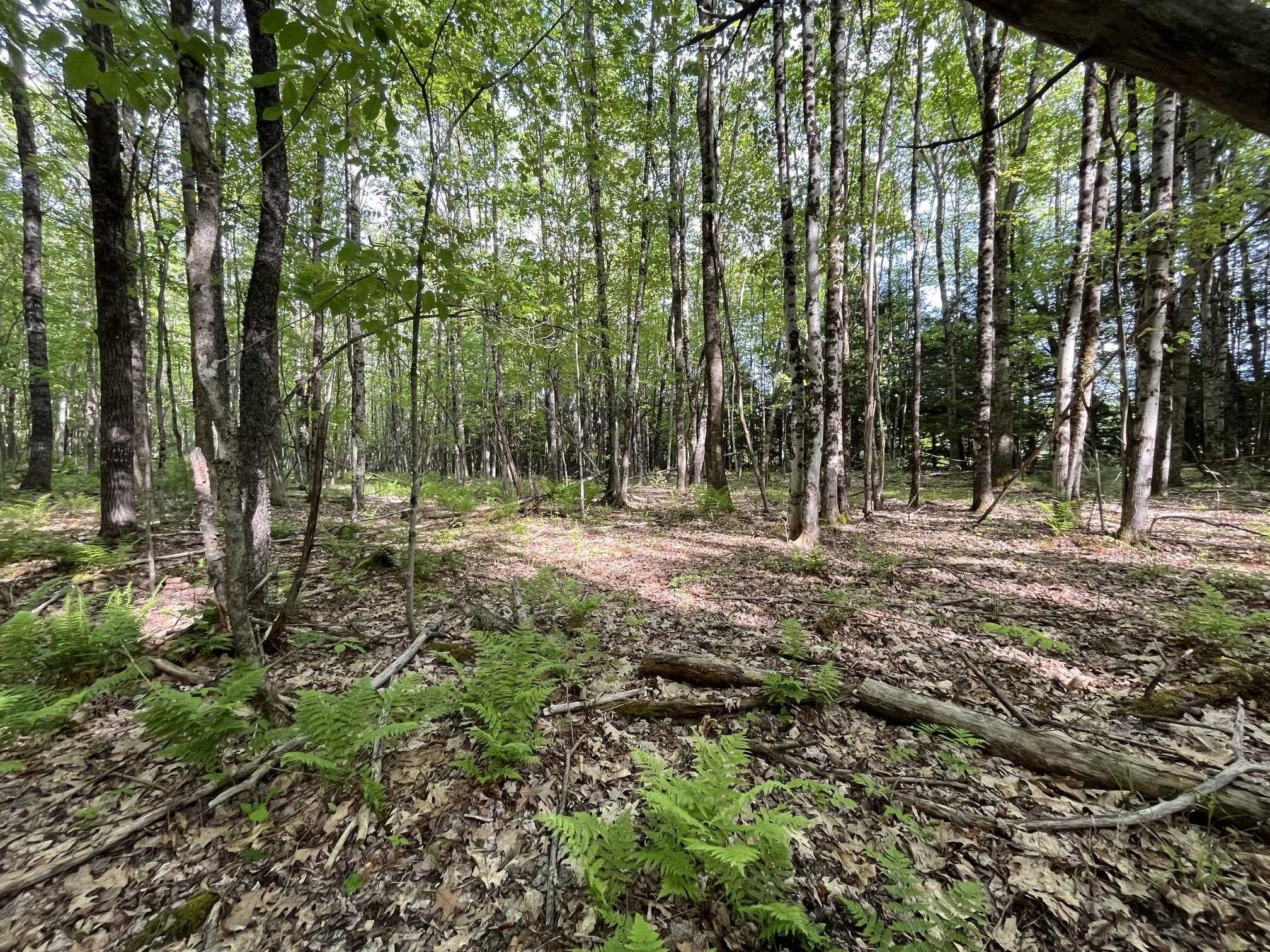 31 River Road Bath, NH 03740 - Photo 17 of 26