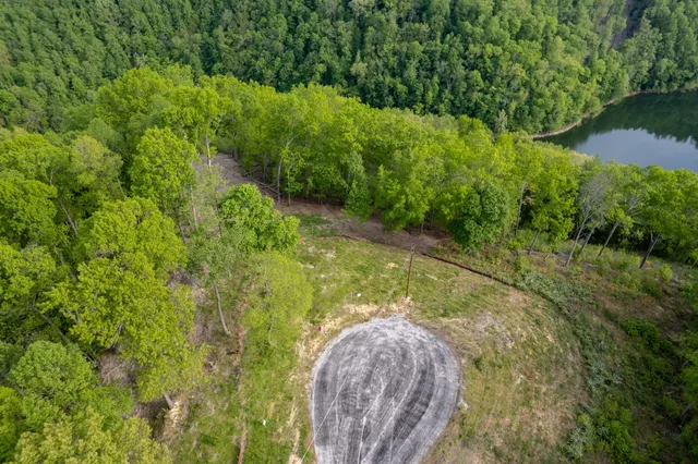 a view of a yard with plants