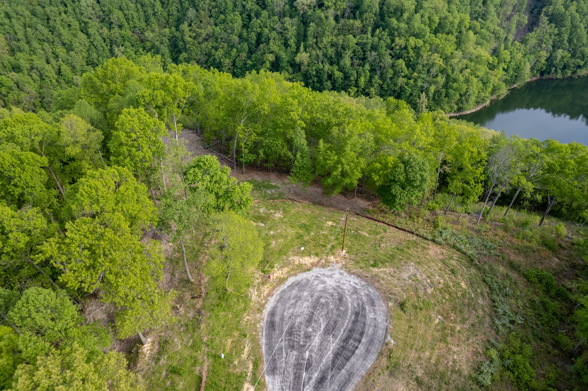 19 Caleb Way Baxter, TN 38544 - Photo 2 of 2 a view of a yard with plants