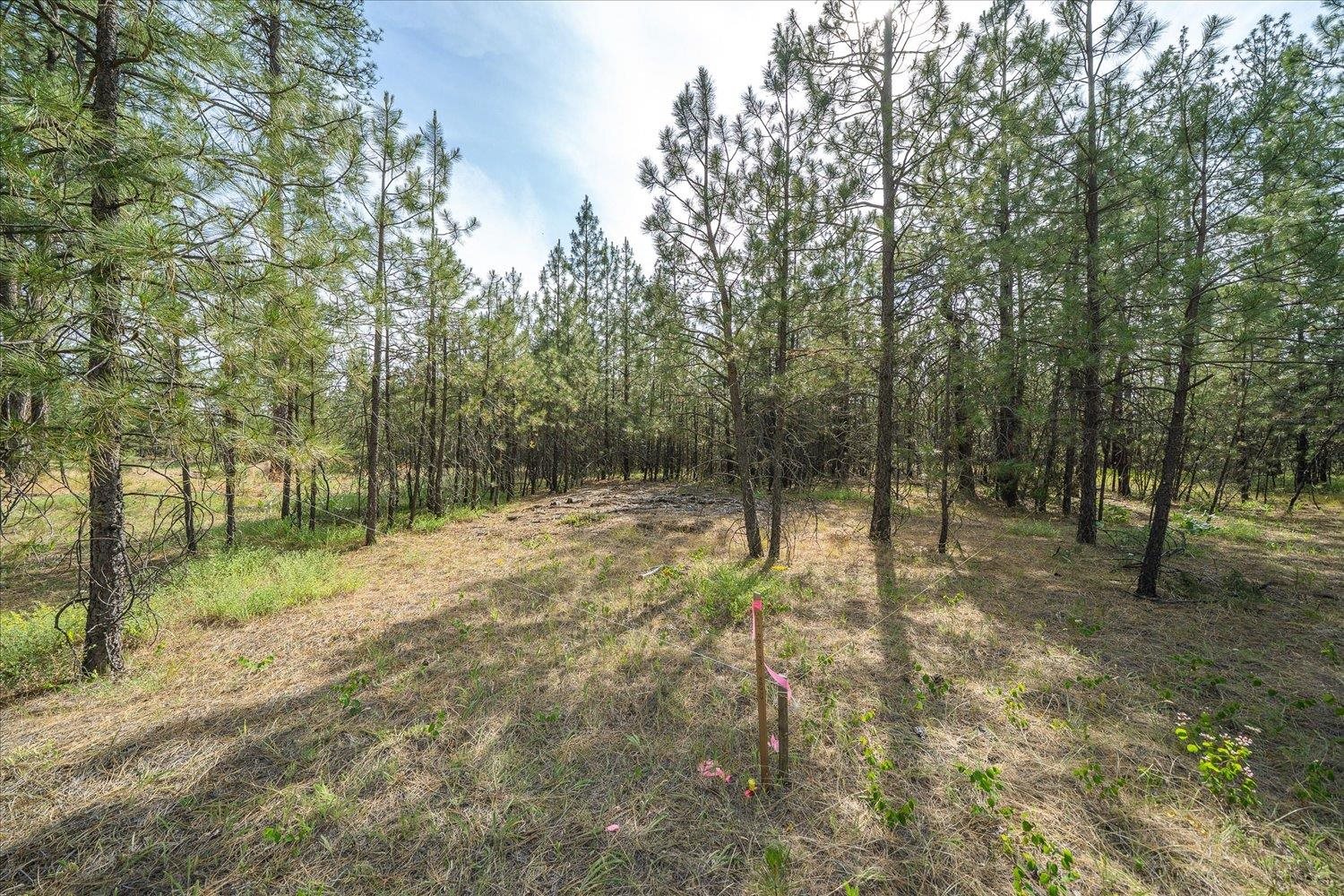 5123 East Chattaroy Road Chattaroy, WA 99003 - Photo 8 of 10