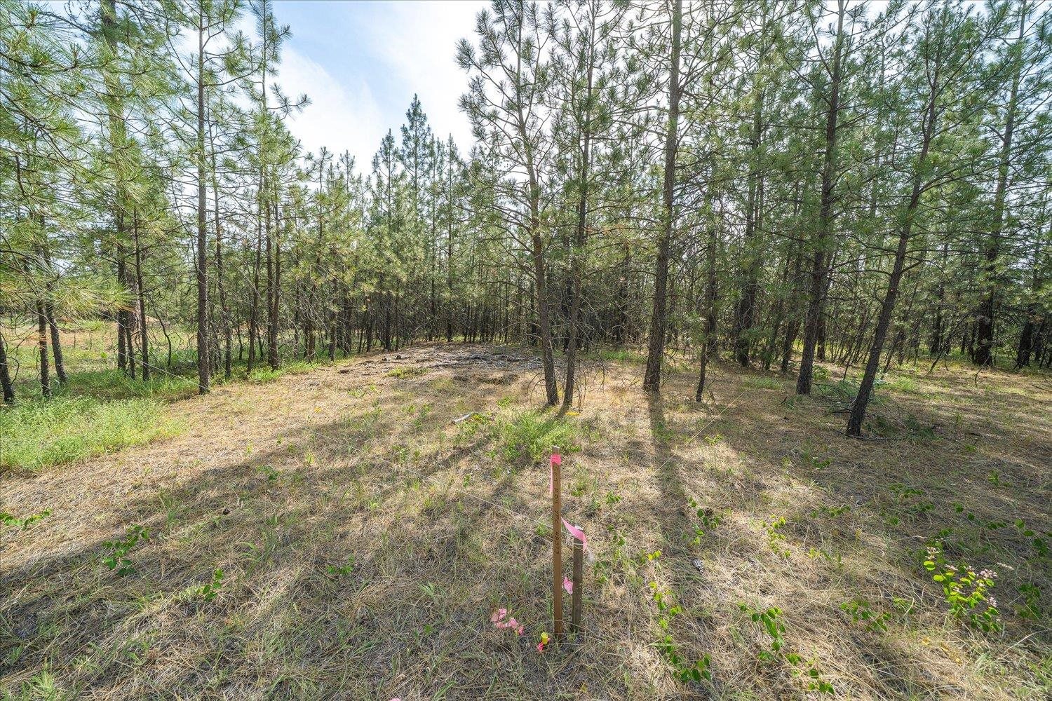 5123 East Chattaroy Road Chattaroy, WA 99003 - Photo 9 of 10