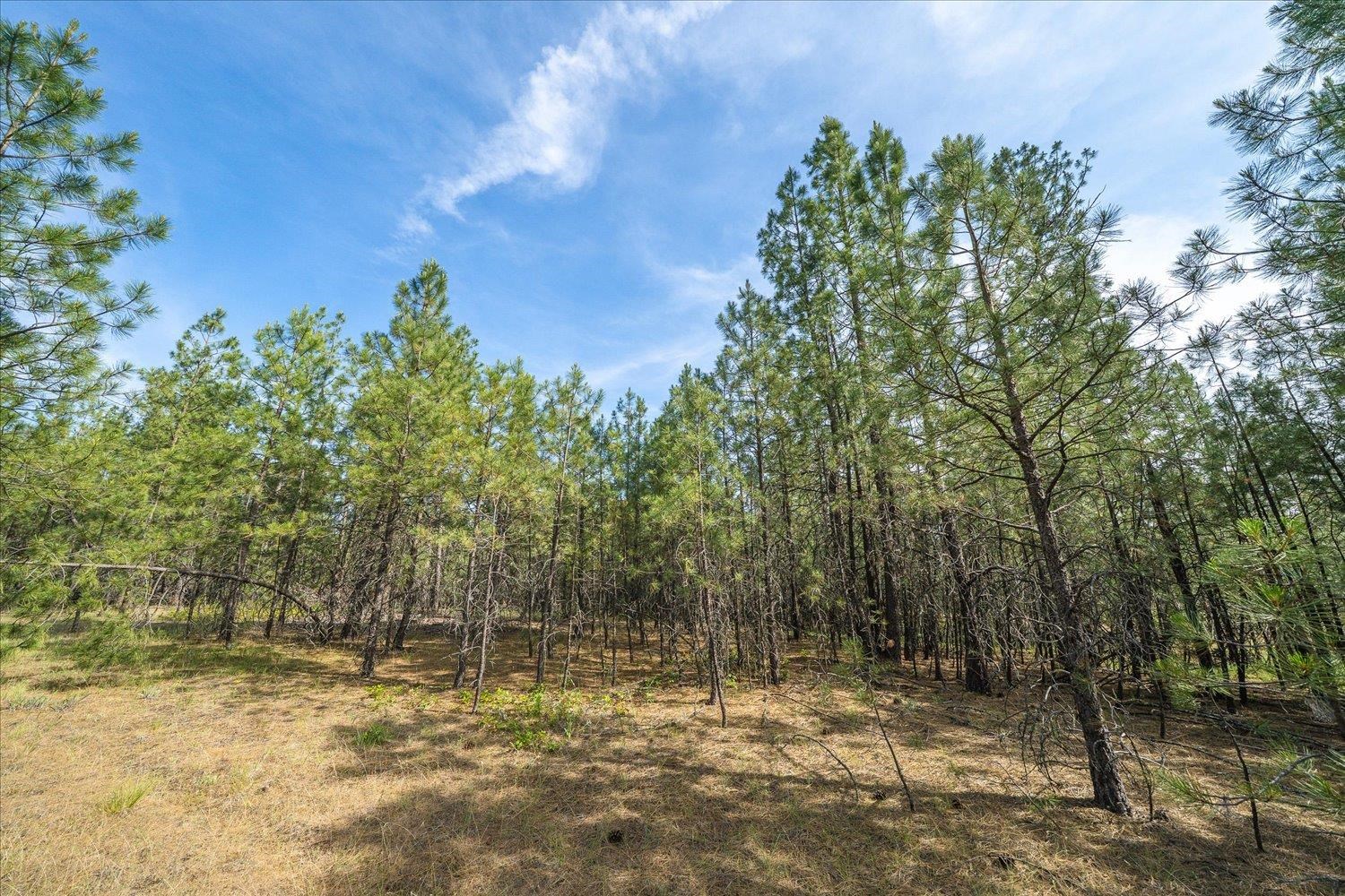 5123 East Chattaroy Road Chattaroy, WA 99003 - Photo 10 of 10