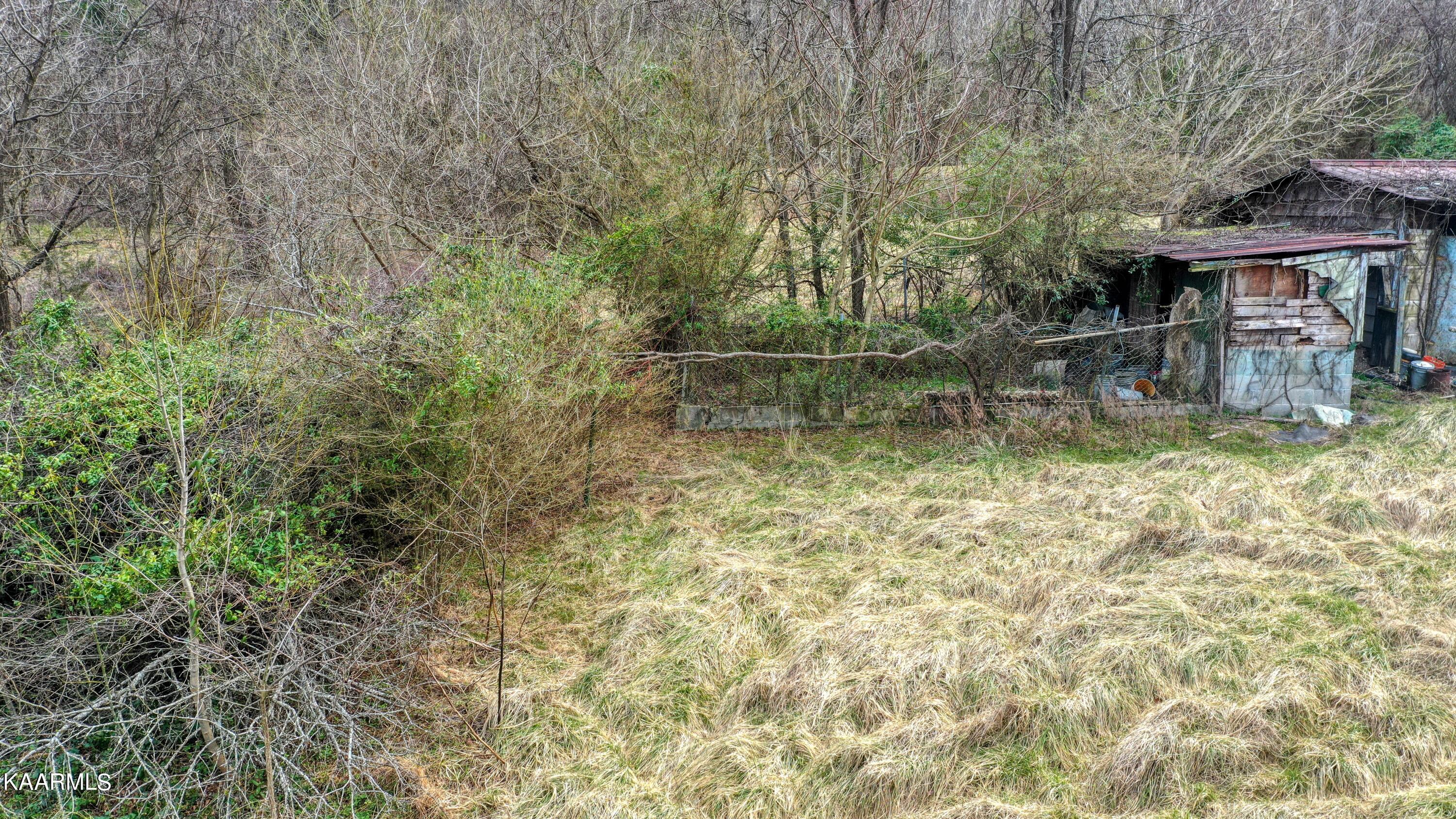 1655 Brisco Road Blaine, TN 37709 - Photo 8 of 10 1655 Brisco