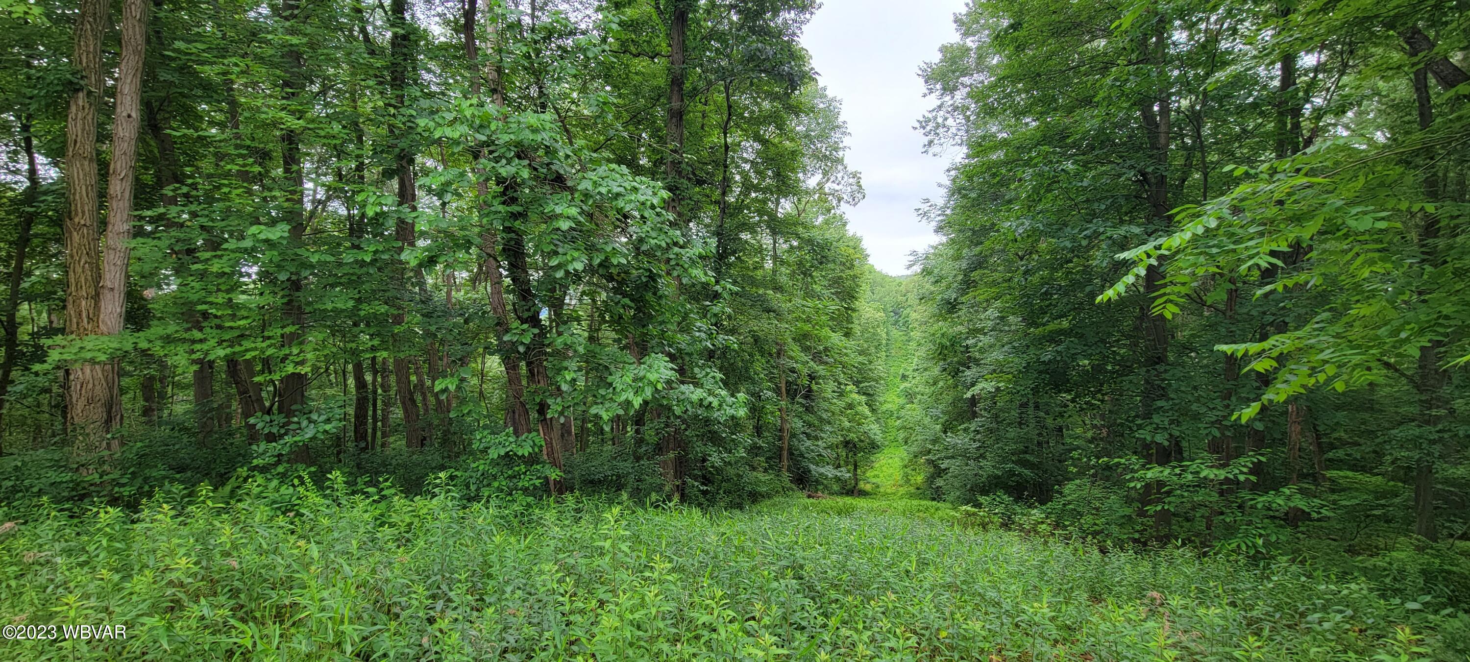 Adele Road Montoursville, PA 17754 - Photo 1 of 7 Gallery Image 1