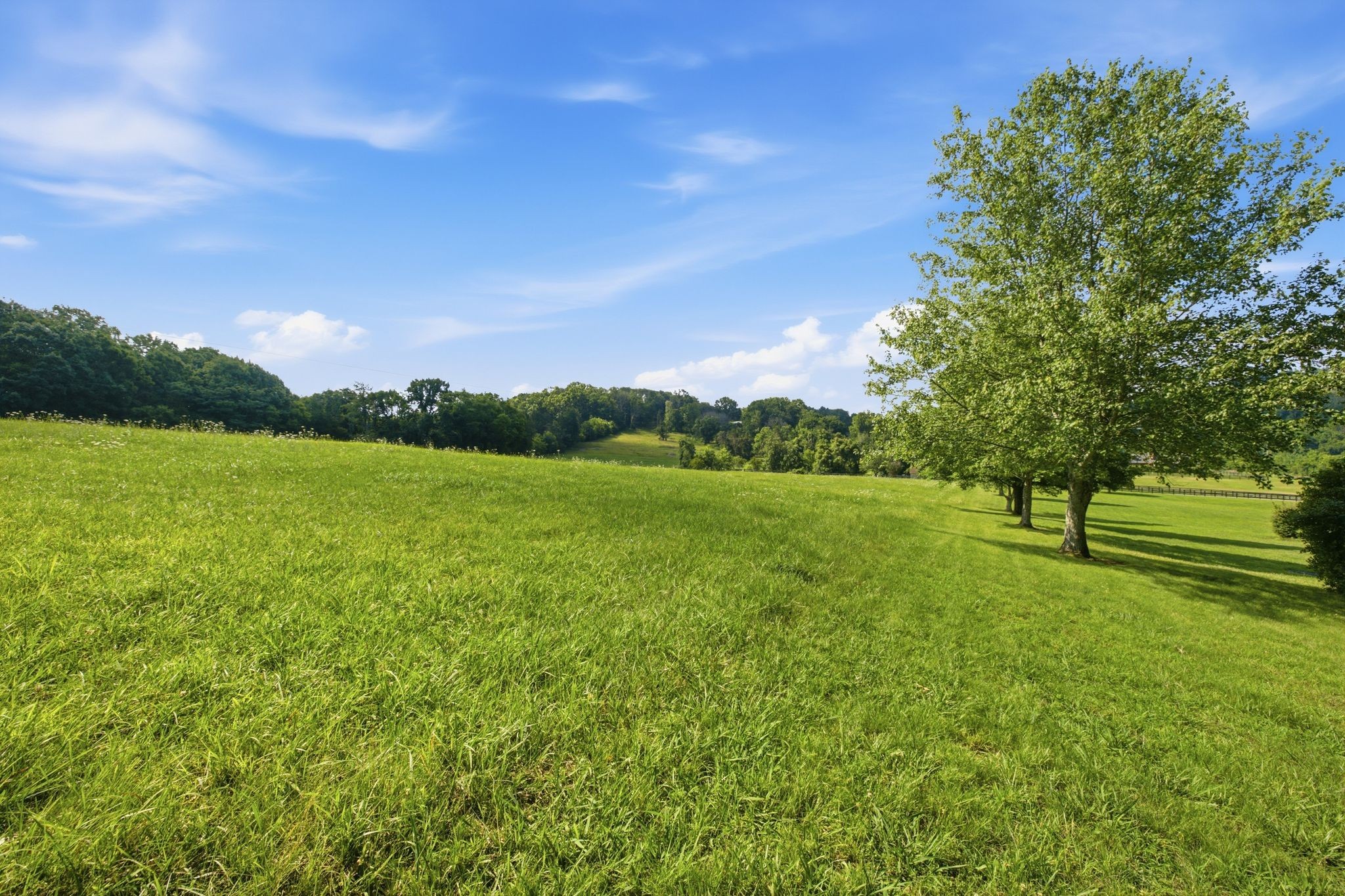 2946 Beulah Church Road Arrington, TN 37014 - Photo 41 of 50