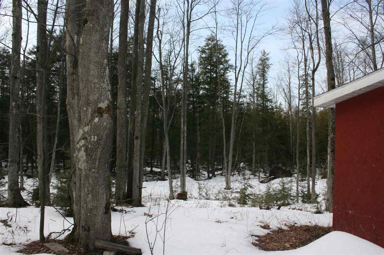 0 Campbell Road Elk Rapids, MI 49629 - Photo 9 of 17 1842007-8.JPG