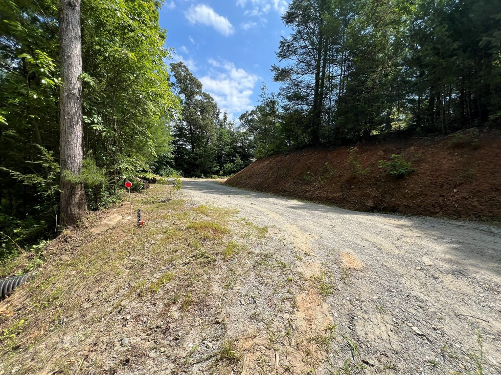 294 Pioneer Ests Road Murphy, NC 28906 - Photo 2 of 36 Driveway