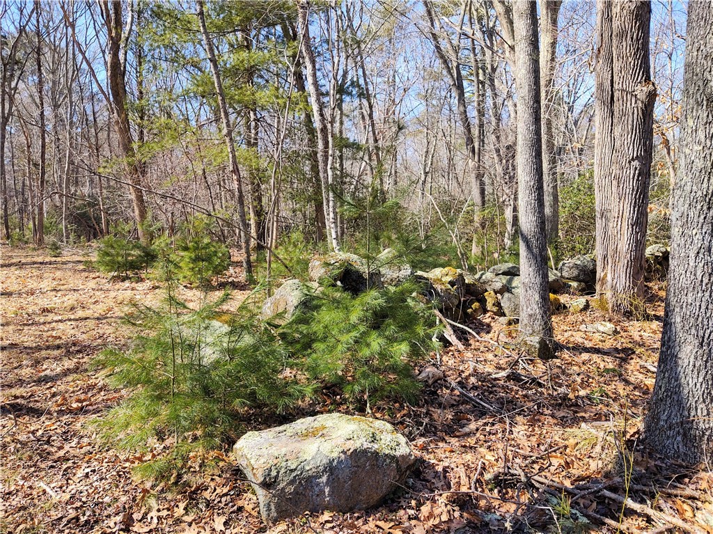 0 Gardiner Road West Kingston, RI 02892 - Photo 9 of 26 Gallery Image 9