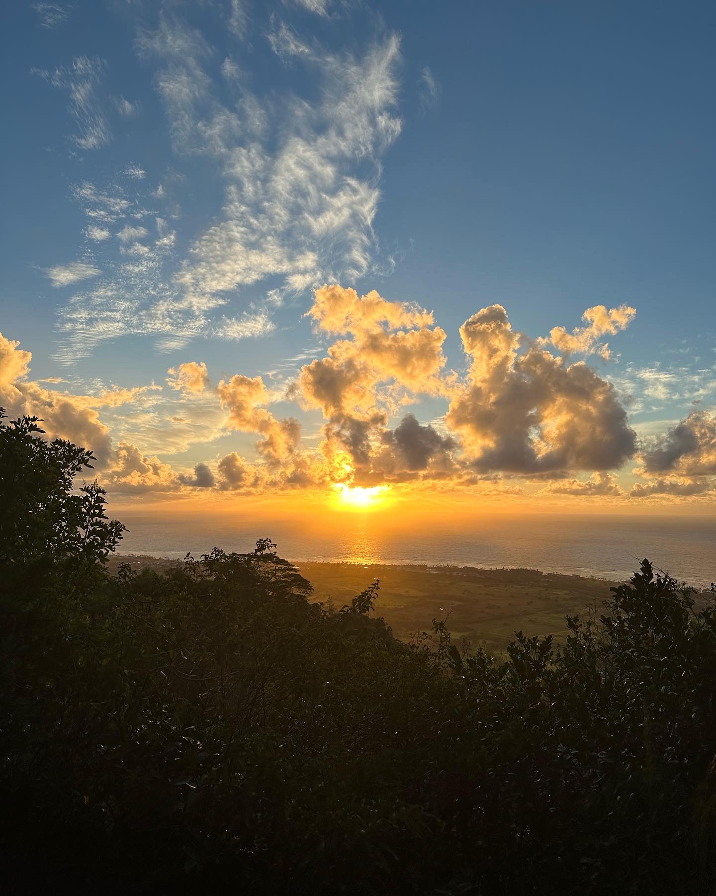 5974 Lokelani Road Kapaa, HI 96746 - Photo 24 of 24 a view of a city