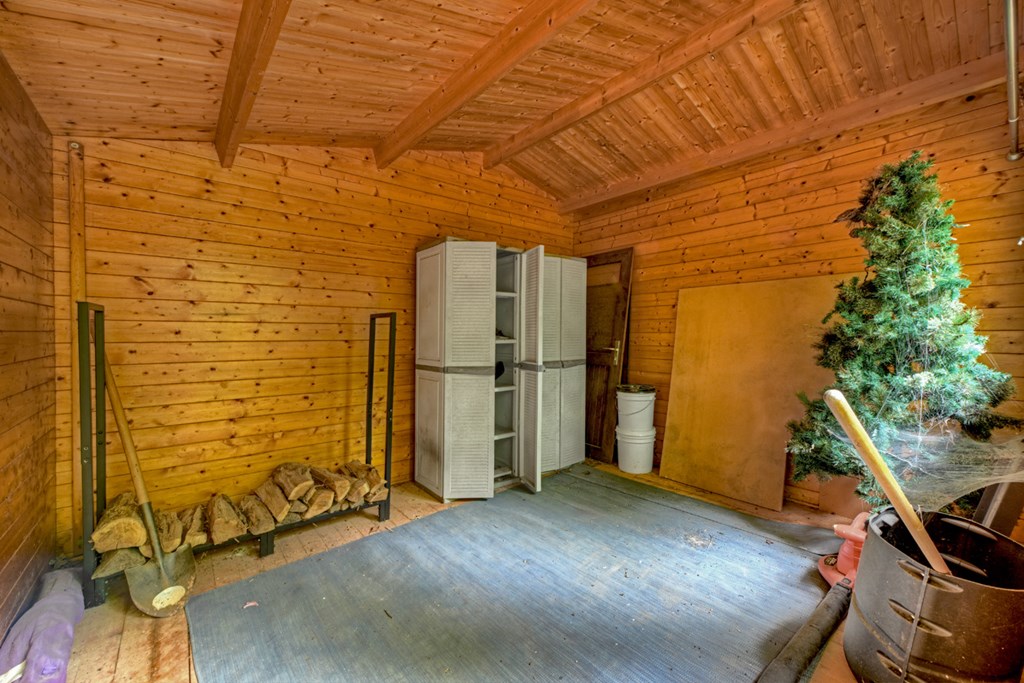 541 Little Bushy Head Road Blue Ridge, GA 30513 - Photo 17 of 45 Gallery Image 17
