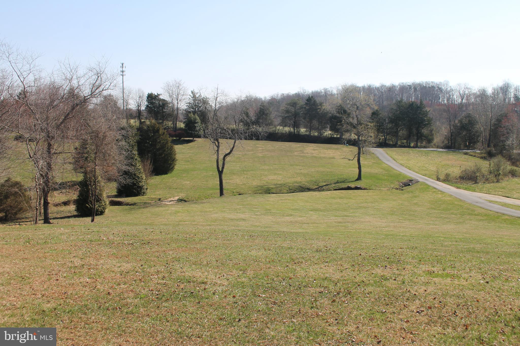 18252 South Merrimac Road Culpeper, VA 22701 - Photo 4 of 36 View from front of home
