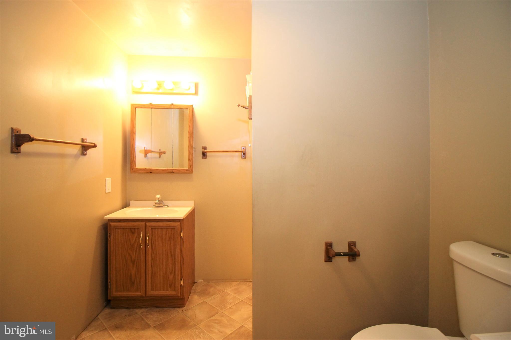 18252 South Merrimac Road Culpeper, VA 22701 - Photo 34 of 36 Lower Level Bathroom