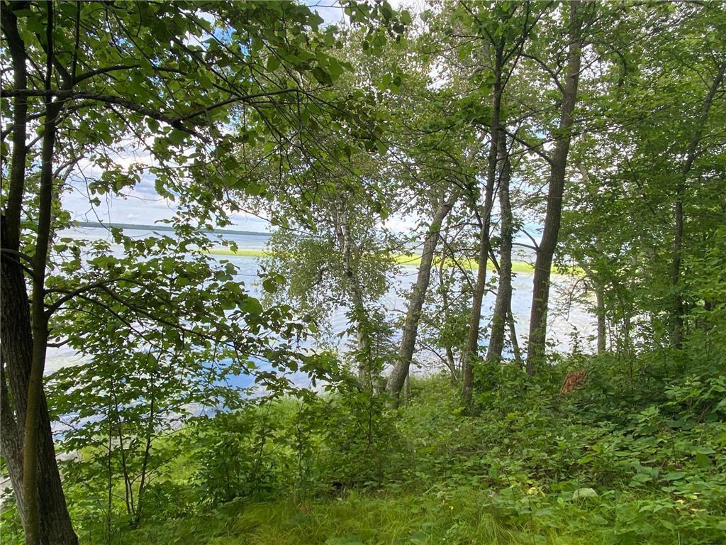 Tbd Tbd Idas Road Osage, MN 56570 - Photo 5 of 22