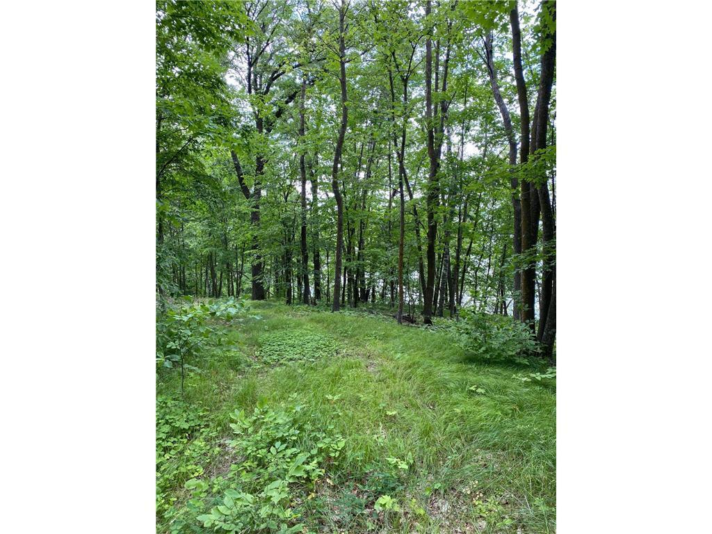 Tbd Tbd Idas Road Osage, MN 56570 - Photo 6 of 22