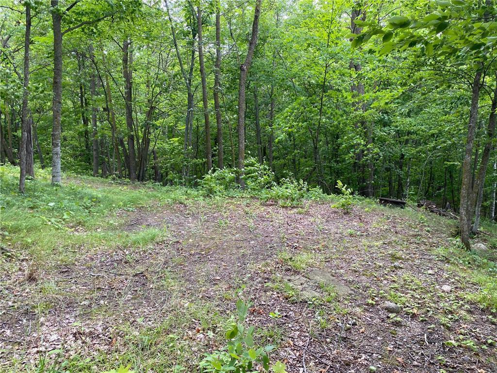 Tbd Tbd Idas Road Osage, MN 56570 - Photo 7 of 22