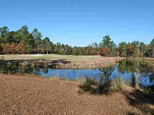 2008 Spring Valley Court Loris, SC 29569 - Photo 9 of 10 Gallery Image 9