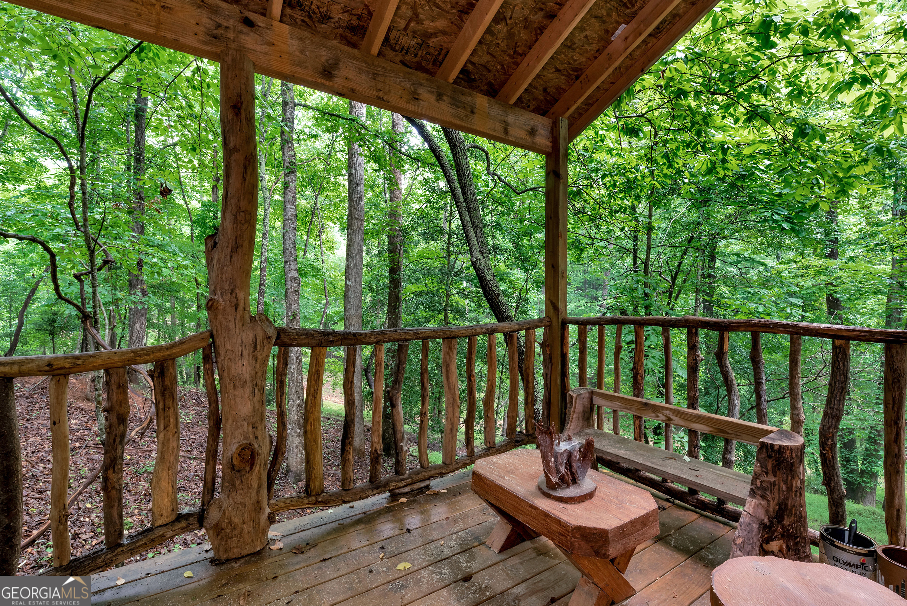 615 Lewis Grindle Road Dahlonega, GA 30533 - Photo 45 of 63