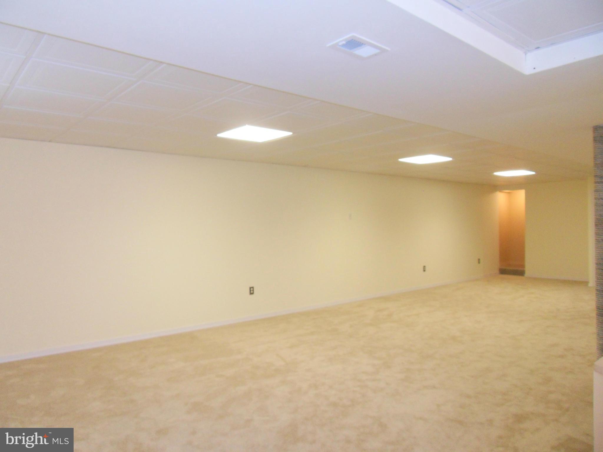 8775 Fairground Road Bel Alton, MD 20611 - Photo 17 of 30 Basement