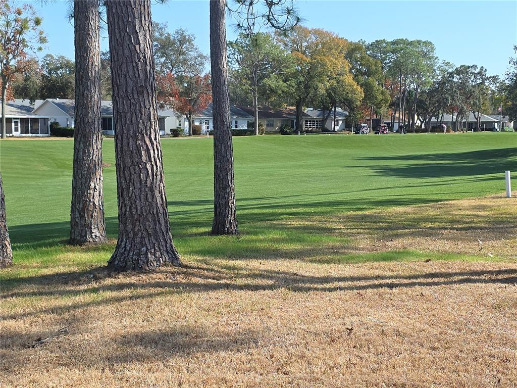2376 Bent Pine Court Spring Hill, FL 34606 - Photo 32 of 33 a view of a park and trees