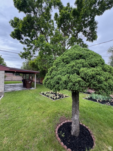 189 West Center Street Midvale, UT 84047 - Photo 43 of 64 Expansive rear yard featuring a manicured lawn, established landscaping, decorative planting beds, mature shade trees, and a covered patio area