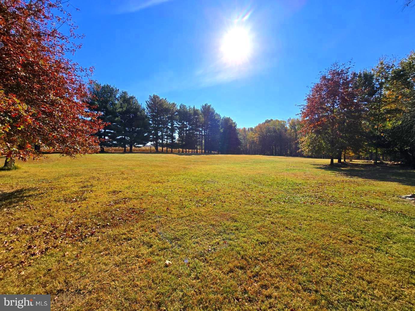 130 Irwin Avenue Elkton, MD 21921 - Photo 56 of 57