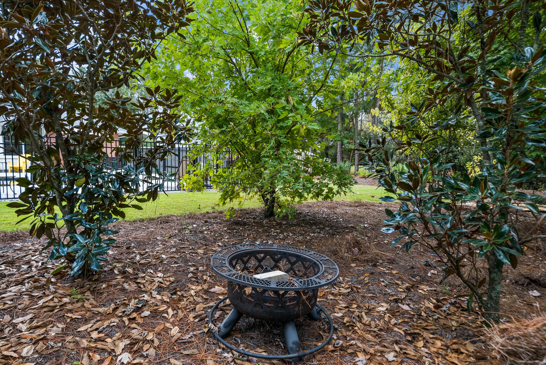 130 Shipwreck Road Santa Rosa Beach, FL 32459 - Photo 50 of 76 a view of a backyard with plants and trees