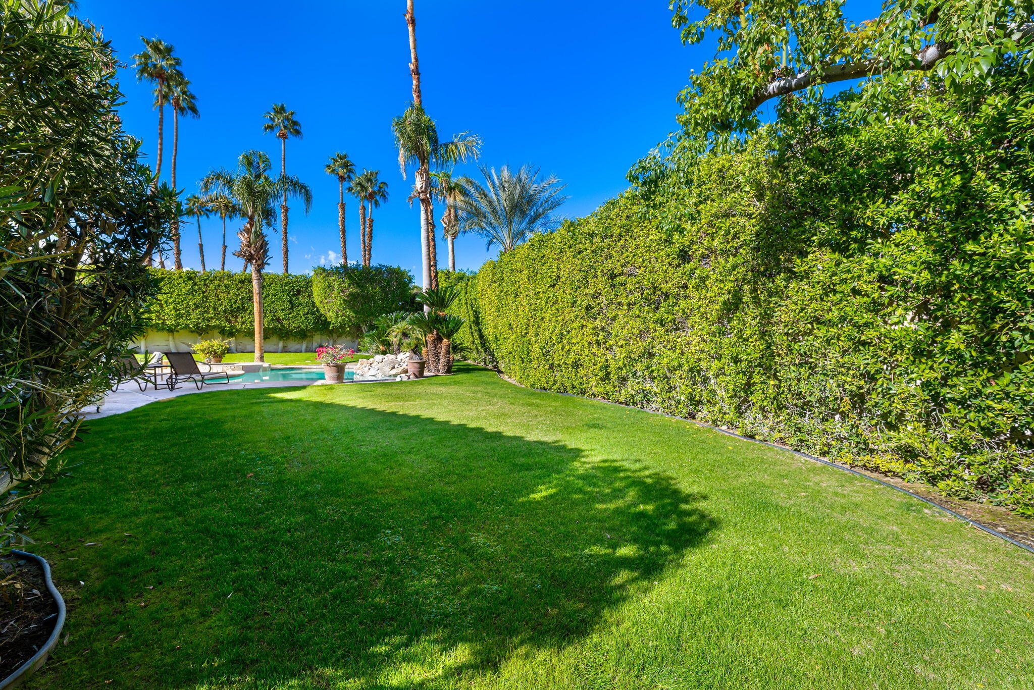 8 Park Mirage Lane Rancho Mirage, CA 92270 - Photo 27 of 51 a view of a backyard with palm trees