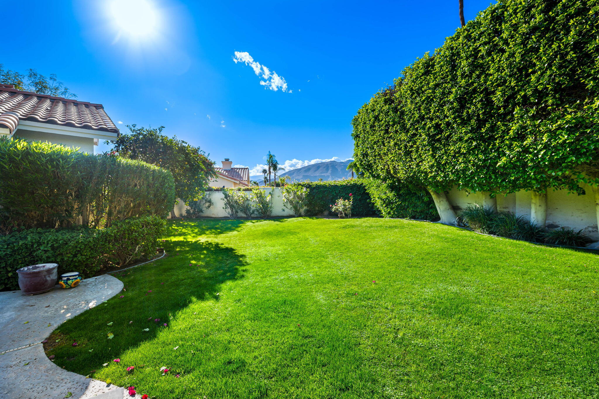 8 Park Mirage Lane Rancho Mirage, CA 92270 - Photo 36 of 51 a view of a backyard with a fountain