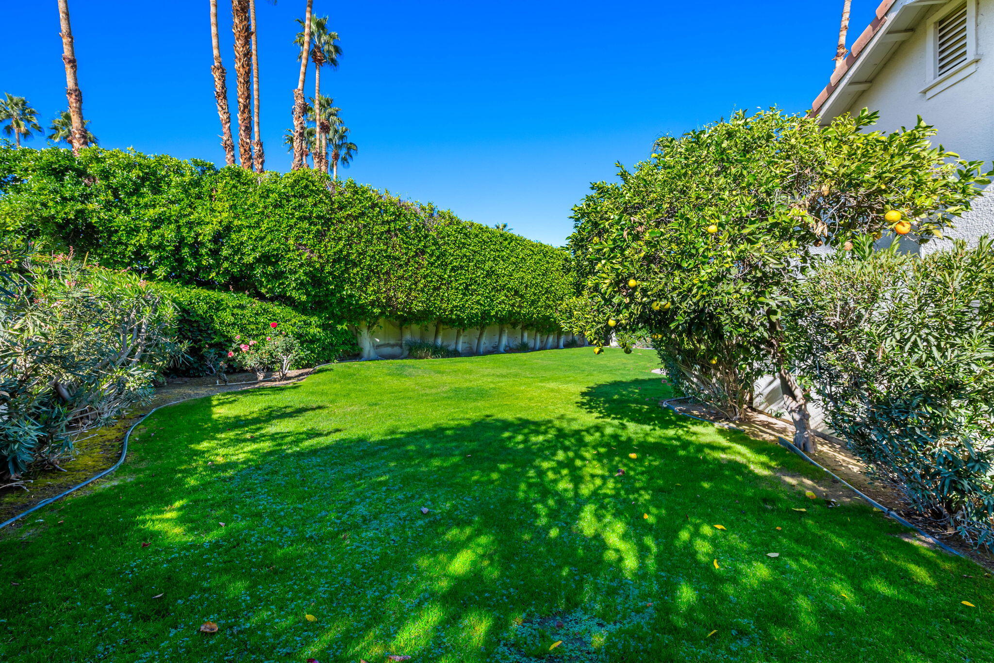 8 Park Mirage Lane Rancho Mirage, CA 92270 - Photo 38 of 51 a view of a garden with a building in the background