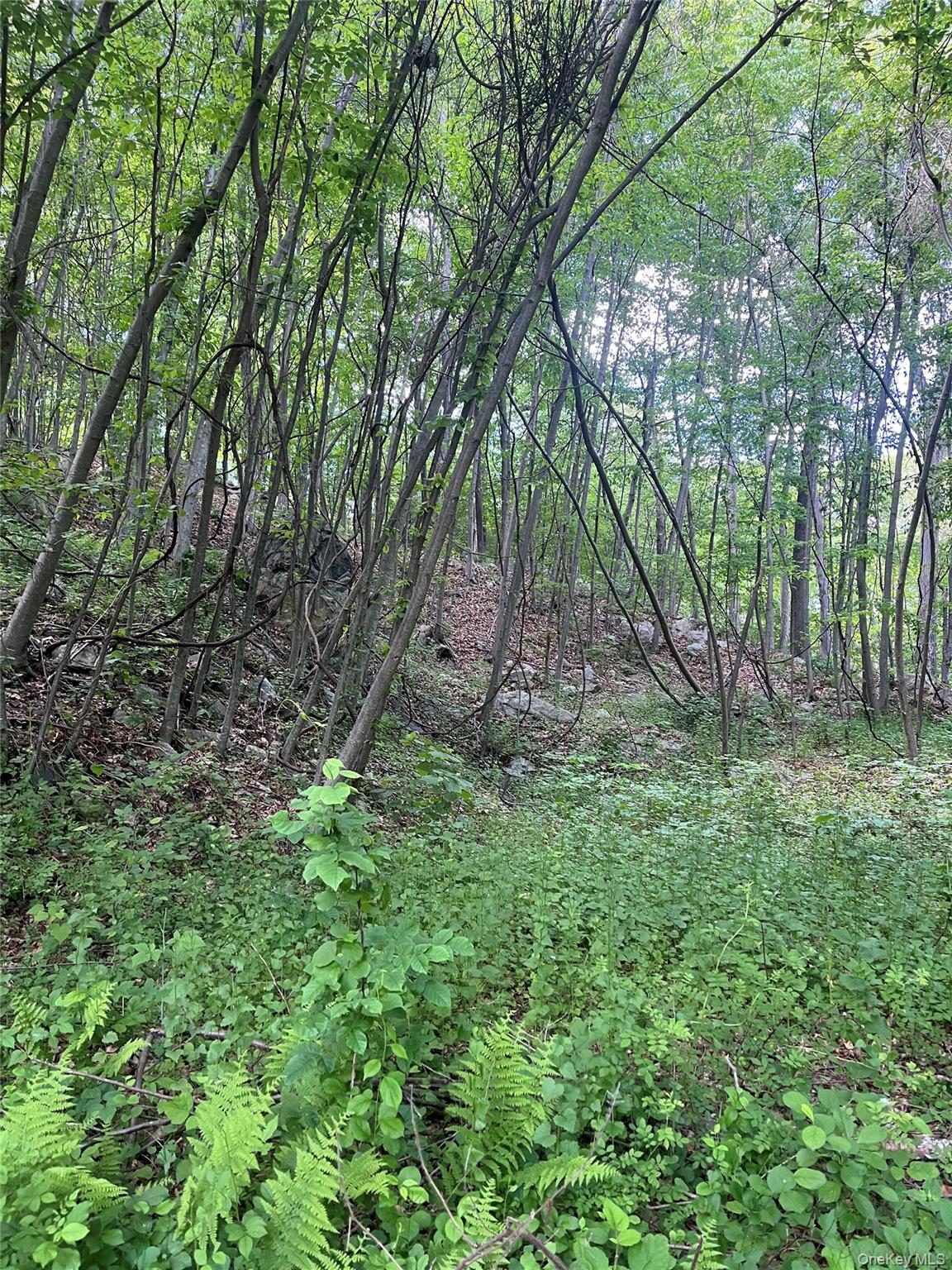 Old Church Road Putnam Valley, NY 10579 - Photo 15 of 26 a backyard of a house with lots of green space