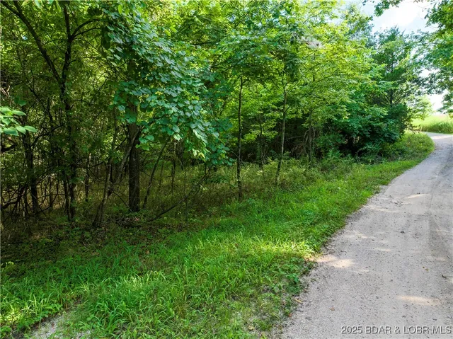 $62,500 | Lots 4-5-6 Lots 4-5-6 Moreland Road, Camdenton, MO 65020