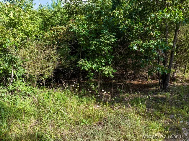 $62,500 | Lots 4-5-6 Lots 4-5-6 Moreland Road, Camdenton, MO 65020