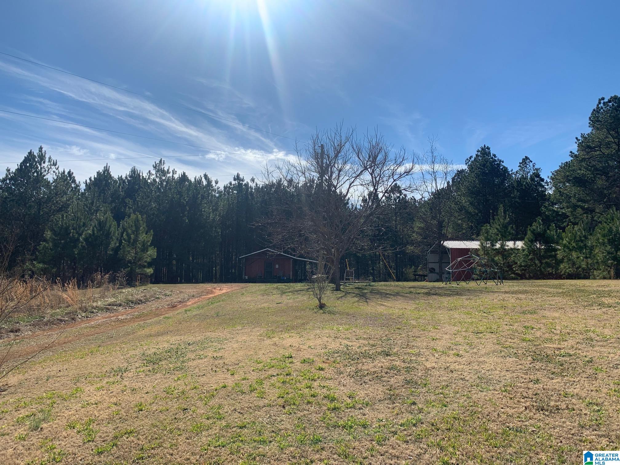 1404 Maxwellborn Road Piedmont, AL 36272 - Photo 27 of 36