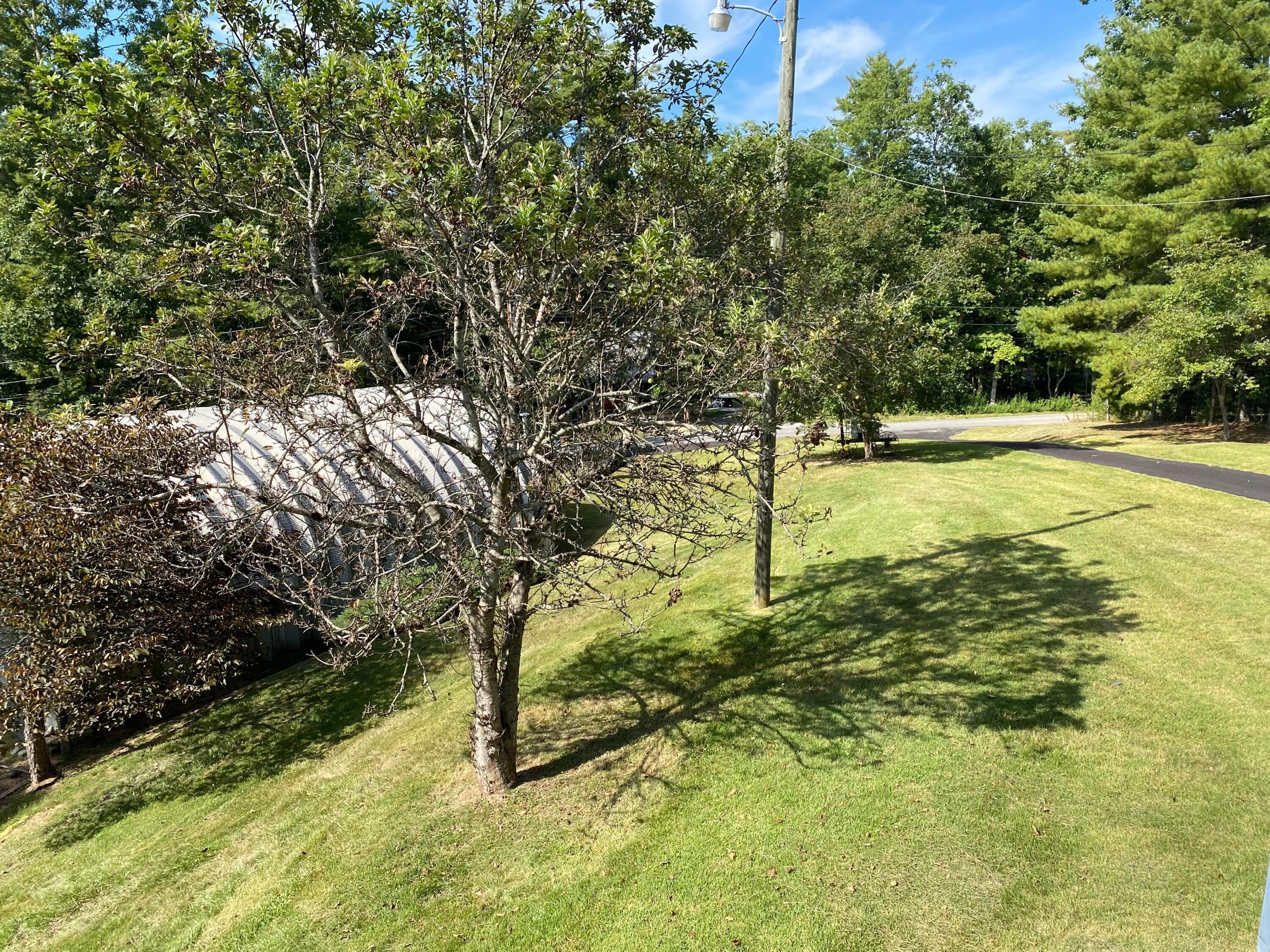 271 Woodland Road Hinton, WV 25951 - Photo 86 of 99 Gallery Image 86