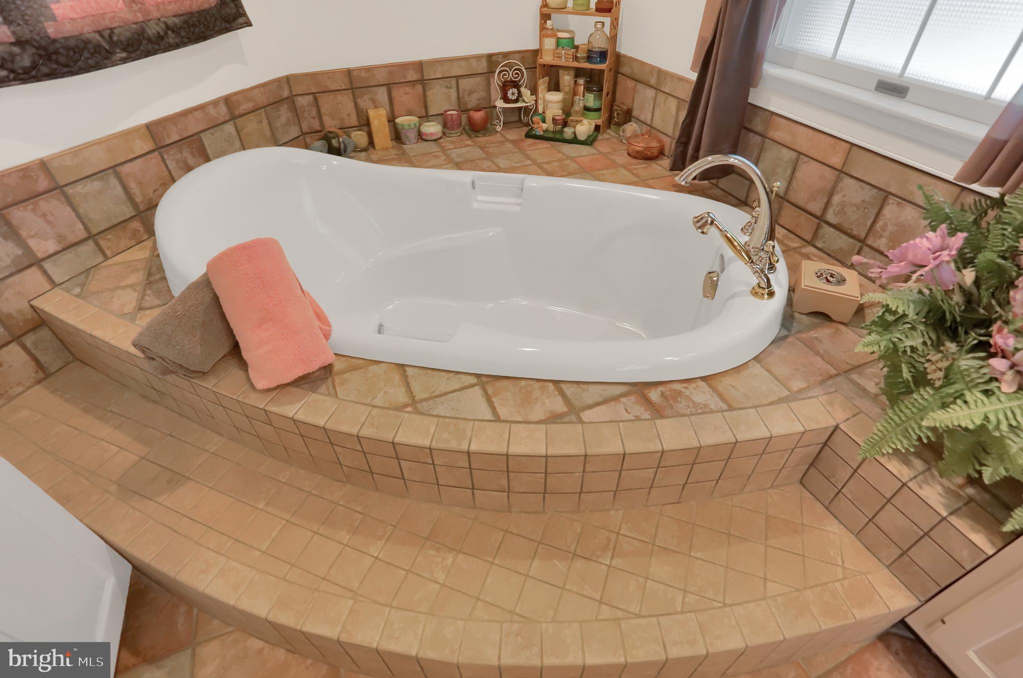 4 Clendenin Road Quarryville, PA 17566 - Photo 35 of 61 Master Bathroom Soaking Tub