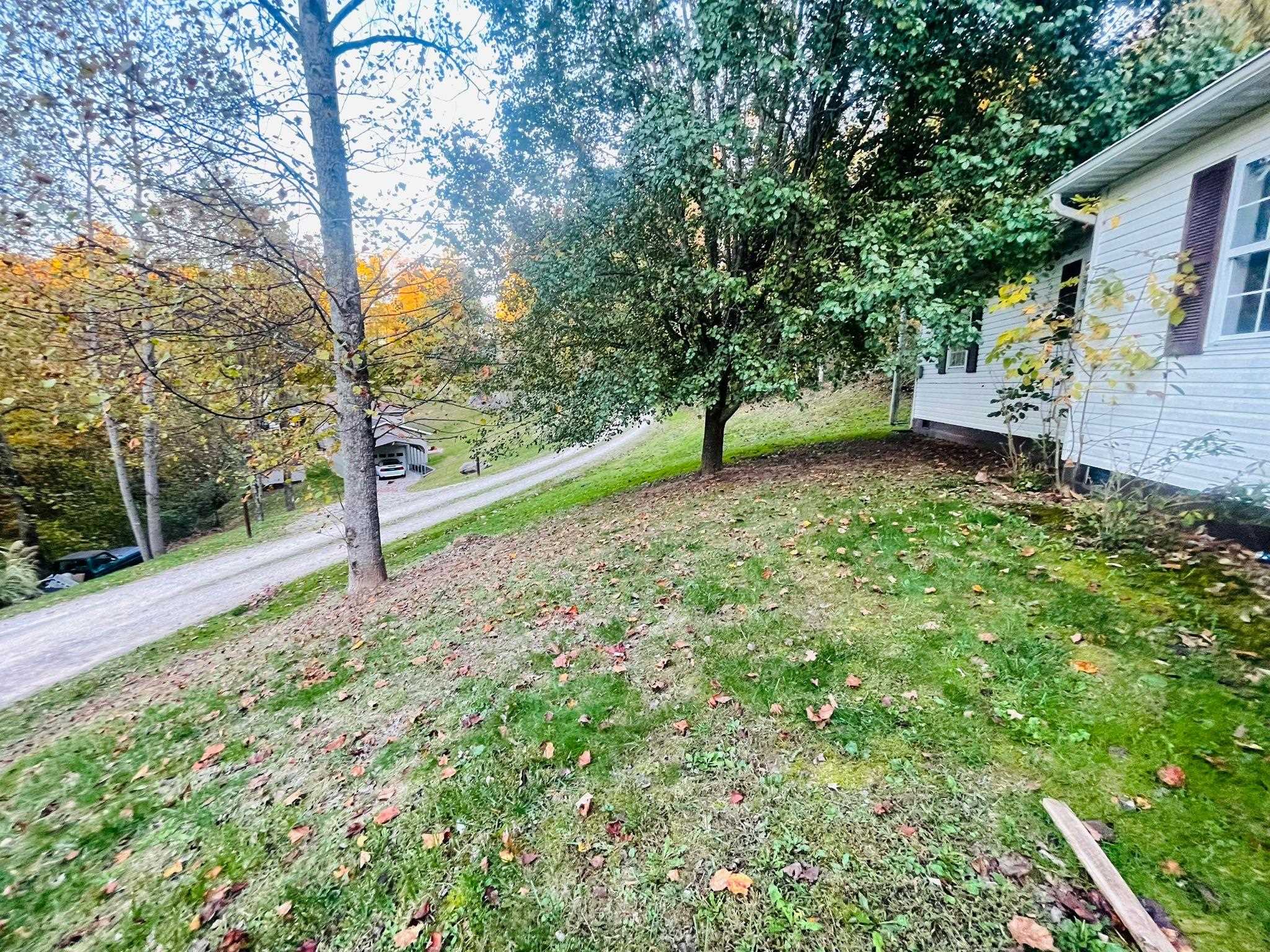 149 Clara Ann Road Lavalette, WV 25535 - Photo 11 of 31 Gallery Image 11