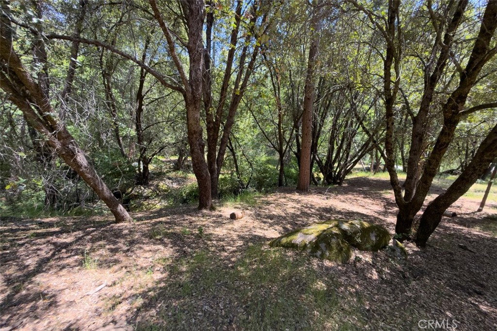 2397 Parmabelle Road Mariposa, CA 95338 - Photo 8 of 34 a view of outdoor space with trees