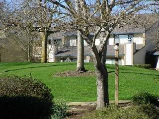 2149 Riesling Way Santa Rosa, CA 95403 - Photo 10 of 11 Gallery Image 10