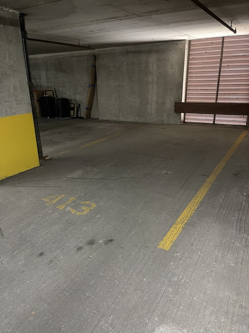 630 North State Street, Unit P413 Chicago, IL 60654 - Photo 2 of 2