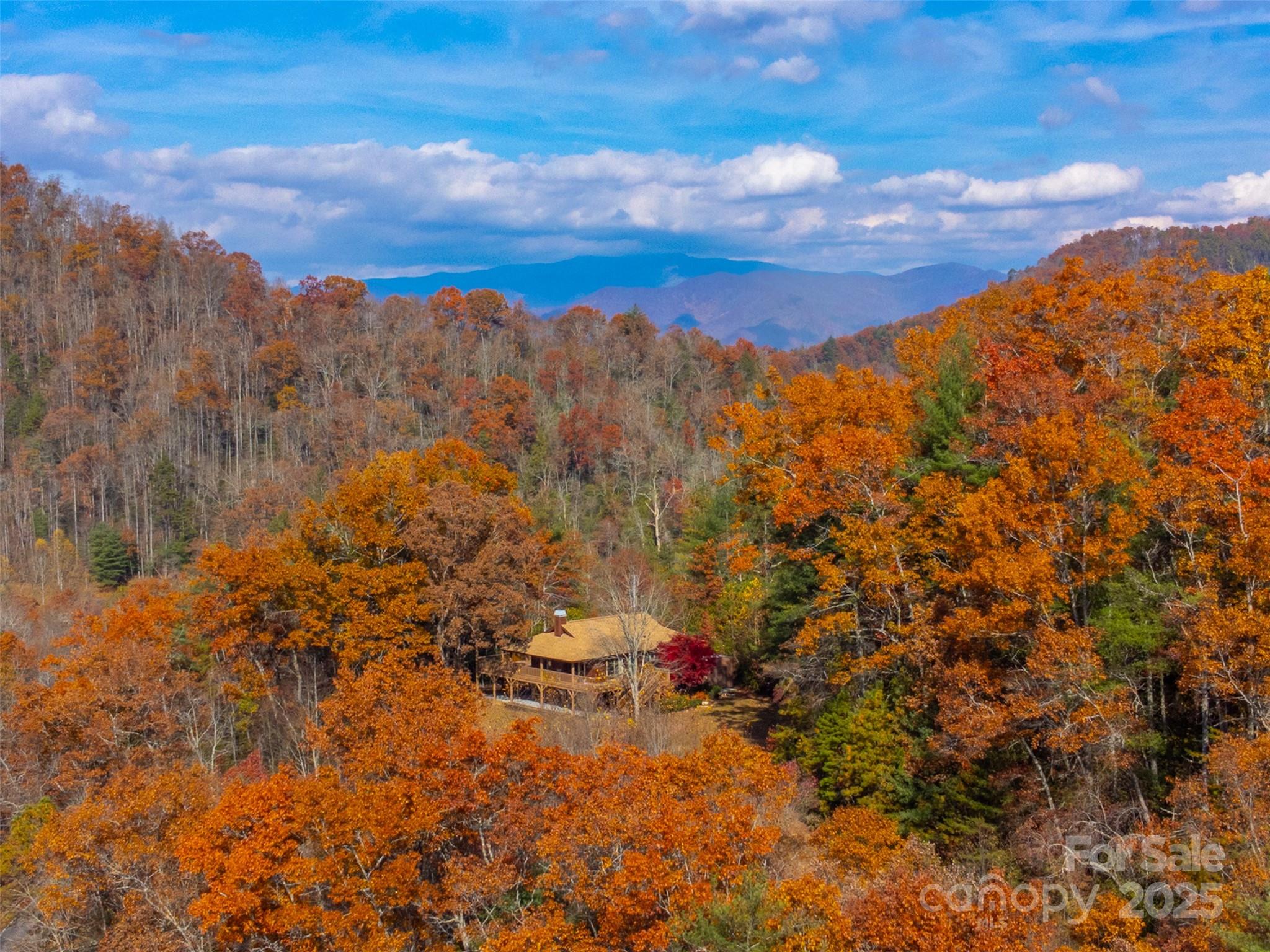 2311 Alarka Road Bryson City, NC 28713 - Photo 45 of 47 a view of a city
