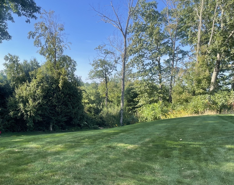 310 Main Street Rutland, MA 01543 - Photo 34 of 39 a view of a yard with a tree