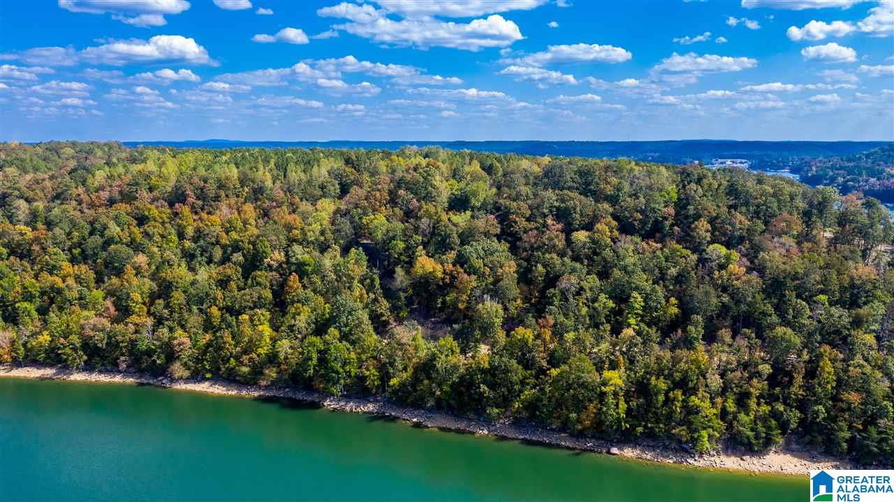 0 County Road 297 Cullman, AL 35057 - Photo 36 of 48