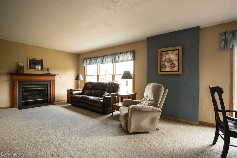 3295 North Ridge Road Vermilion, OH 44089 - Photo 10 of 29 3rd Family Room View