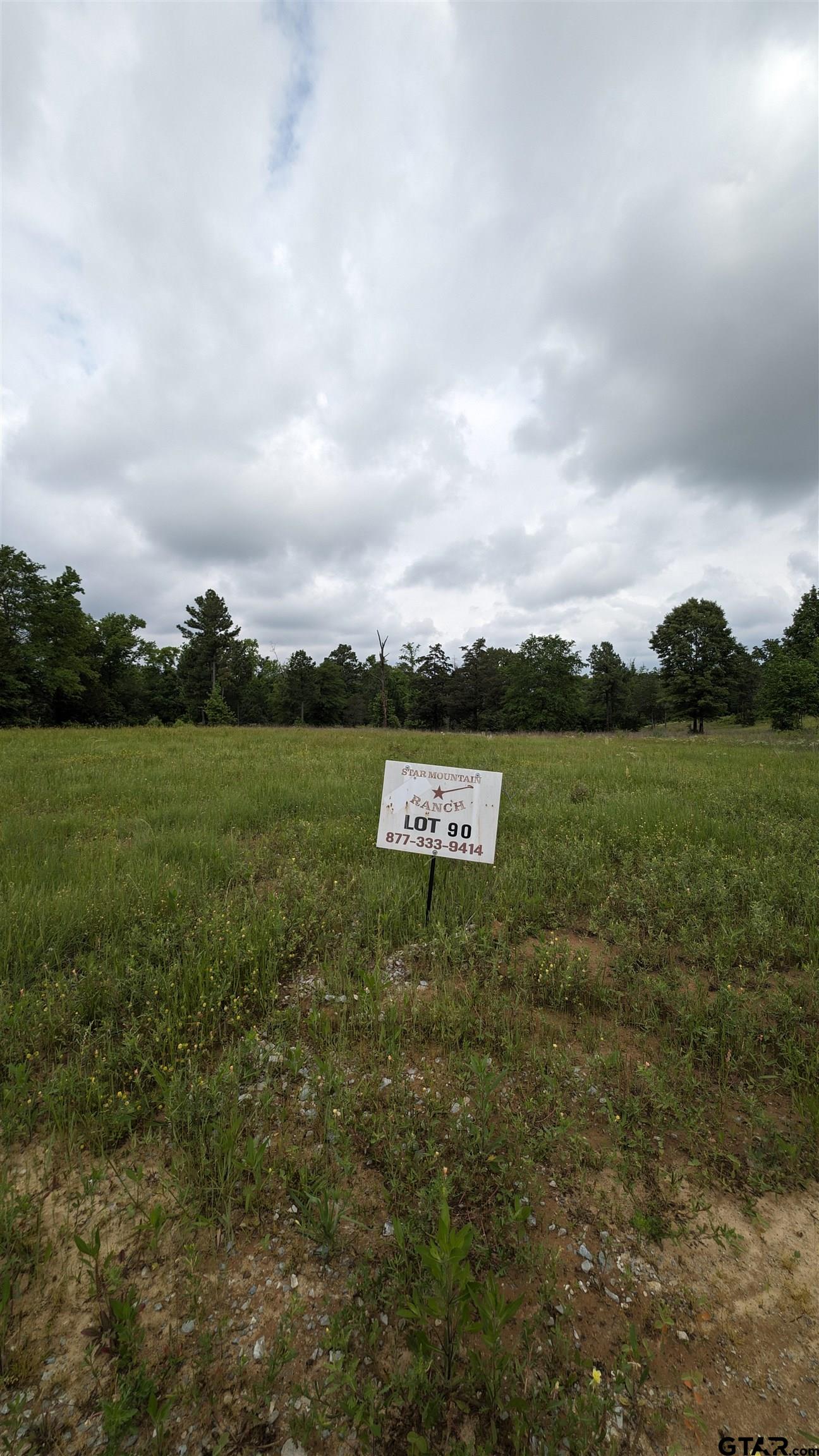 16832 Ridgeline Loop Winona, TX 75792 - Photo 5 of 6 a view of a park with outside space