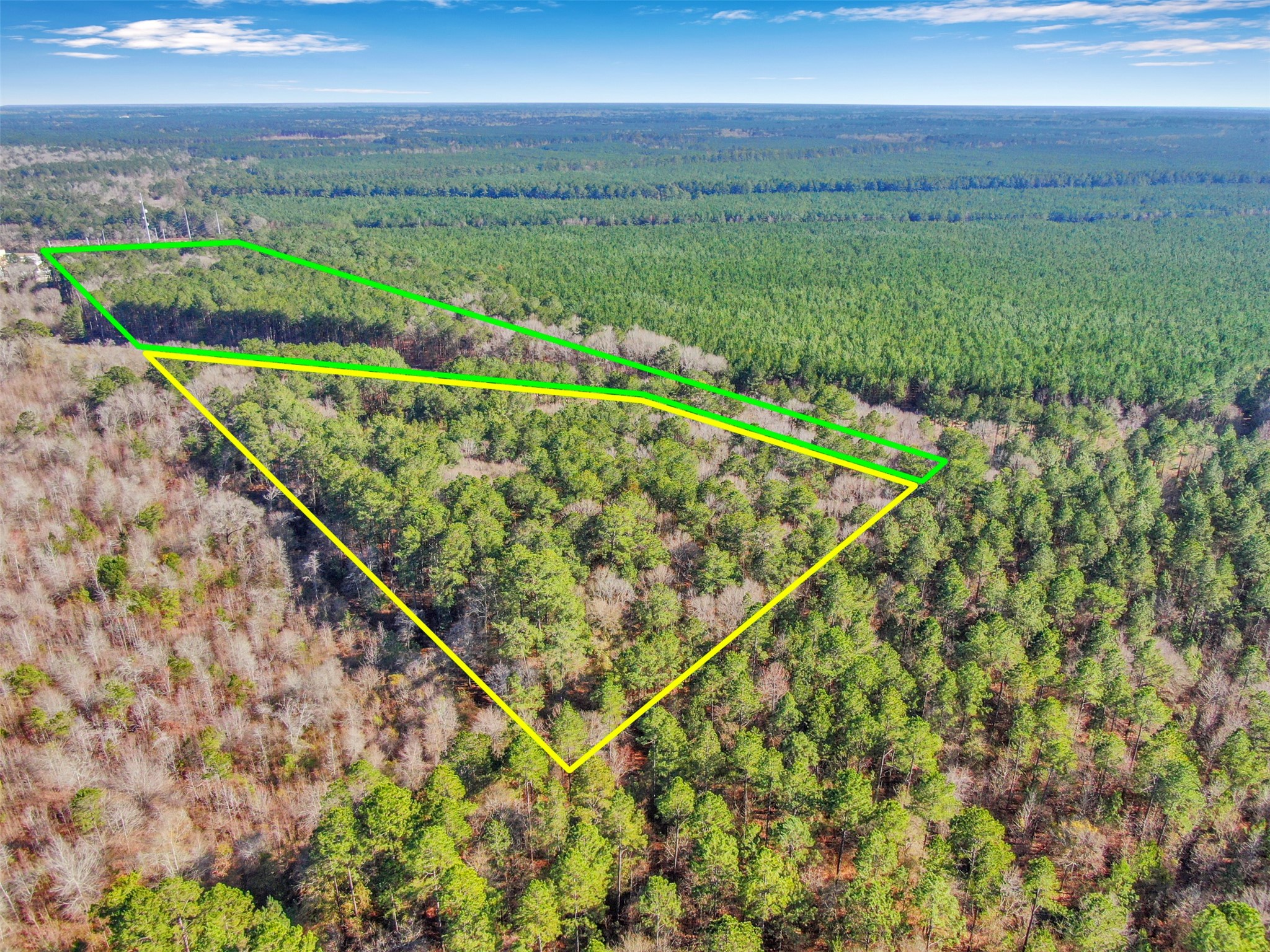 00 Pelican Road Shepherd, TX 77371 - Photo 4 of 6 a view of a yard with a garden