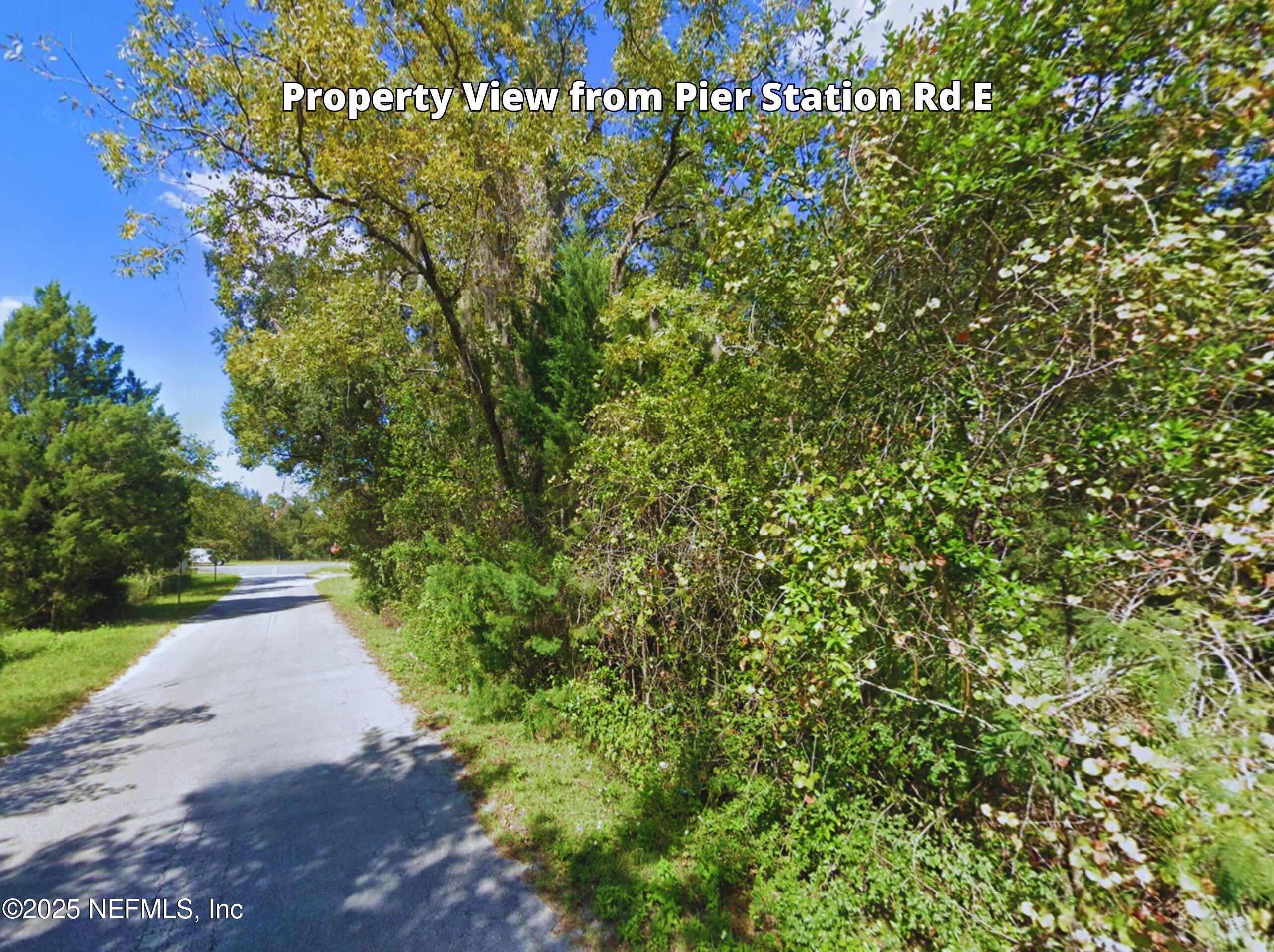 0 Pier Station Road East Green Cove Springs, FL 32043 - Photo 2 of 4 a view of a yard with a tree