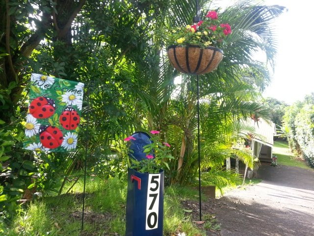 570 West Kuiaha Road, Unit 1 Haiku, HI 96708 - Photo 3 of 27 a view of a flower in a garden