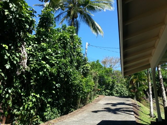 570 West Kuiaha Road, Unit 1 Haiku, HI 96708 - Photo 4 of 27 a view of outdoor space and yard